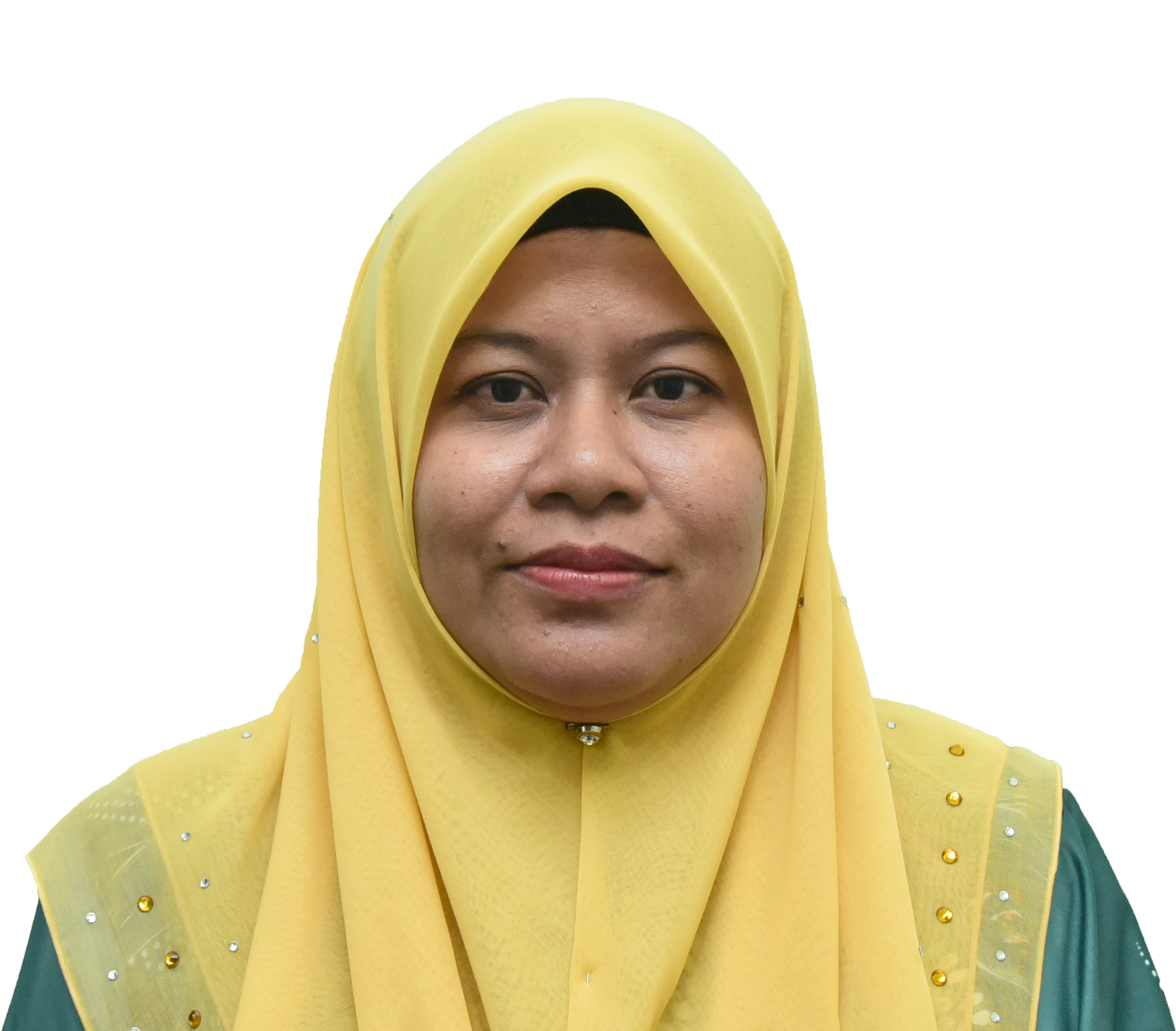 Puan Rohaizah binti Abas